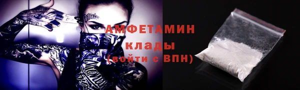 крисы Магас