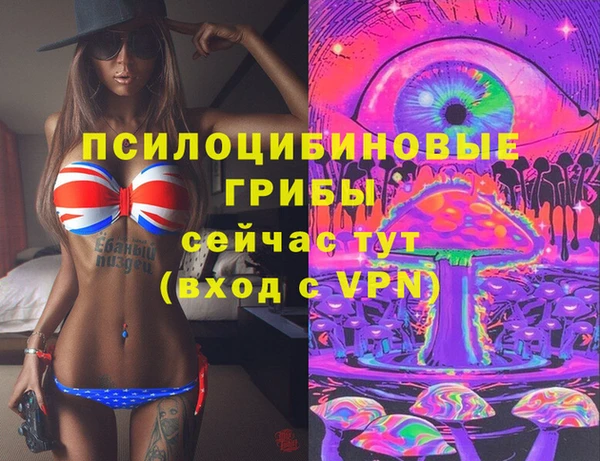Альфа ПВП Медвежьегорск