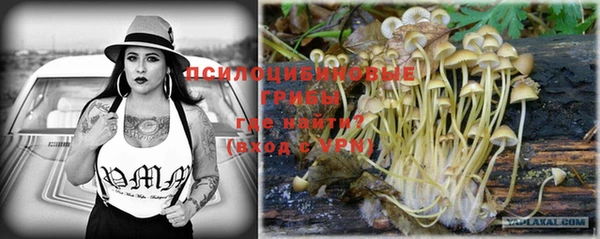 PSILOCYBIN Медногорск