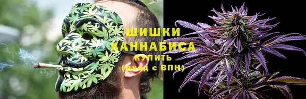 PSILOCYBIN Медногорск