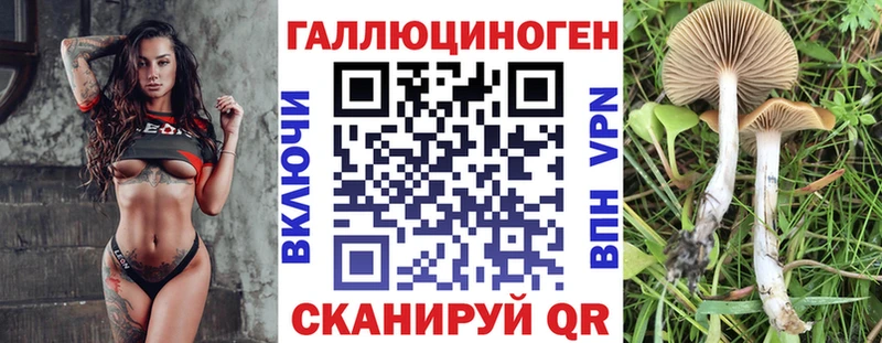 Псилоцибиновые грибы прущие грибы  OMG как войти  Лермонтов 